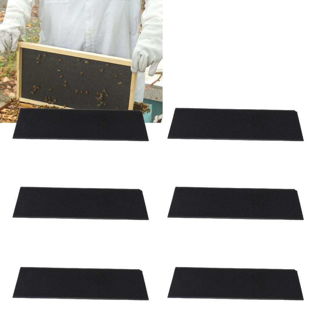 1dingying.th Asixxsix Beehive Waxed Coated Foundation Sheet Wax พลาสติกอุปกรณ์พกพา 6 ชิ้น