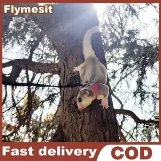 Flymesit 4 ชิ้นสัตว์เลี้ยงขนาดเล็กสายรัดหน้าอกหนูแฮมสเตอร์กระรอก Leash Anti Bite Traction เชือก Sugar Glider Windproof พิเศษ Anti Lost เชือก EN