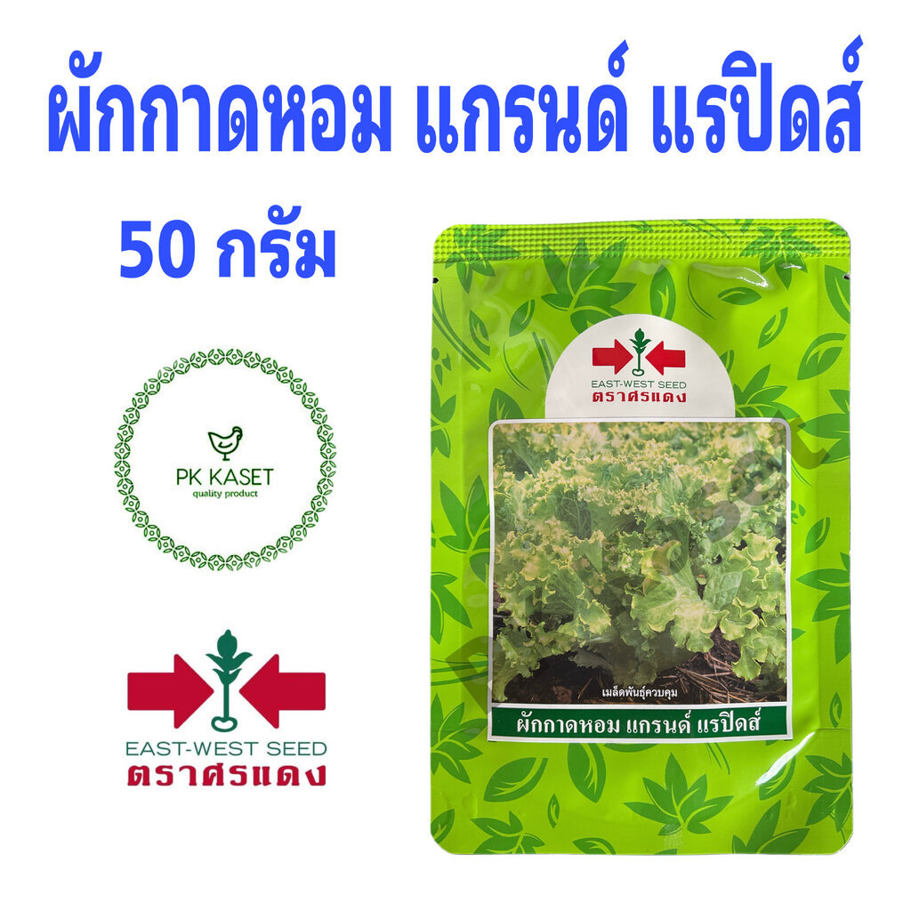 เมล็ดผักกาดหอม ผักสลัด ขนาด 50 g แกรนด์ แรปิดส์ ตราศรแดง ซองใหญ่