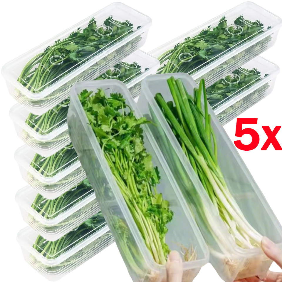 1/3/5 ชิ้น Cilantro กล่องเก็บหัวหอมสีเขียว / ตู้เย็นเก็บสด / ภาชนะเก็บผักผลไม้สี่เหลี่ยมกล่อง