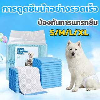 แผ่นรองฉี่น้องหมา น้องแมว สะดวกเจ้าของ น้องสะอาด แบบไม่มีกาว ผิวสัมผัสดี ซึมซับไว แผ่นรองฉี่แมว ช่วยฝึกขับถ่าย