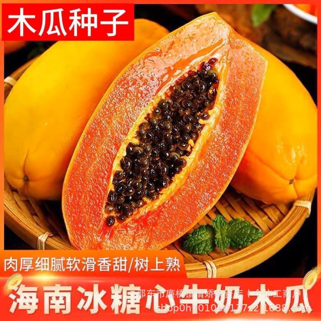 现货*正宗奶油木瓜种籽超甜蜜瓜种籽四季播易种菜园庭院水果木瓜种子Authentic creamy papaya seeds, extra-sweet melon seeds, four pieces.