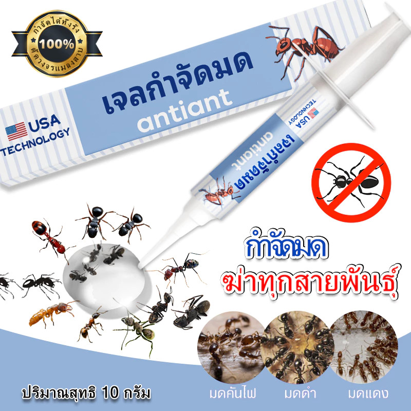 ของแท้ 100% เจลกำจัดมด Anti Ant แอนติแอนท์ เหยื่อกำจัดมด เจลล่อมด หยดเดียวตายยกรัง 10 กรัม