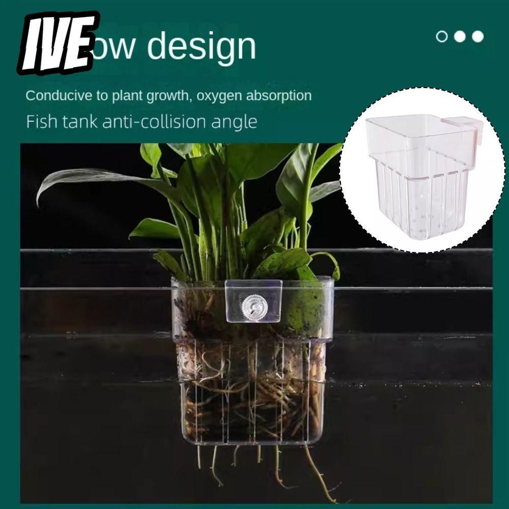 ฉันยัง ที่วางต้นไม้ตู้ปลาแบบแขวน,ถังปลูกน้ําพืชภูมิทัศน์ตู้ปลาตะกร้าปลูกไฮโดรโปนิกส์,ภูมิทัศน์อ่างล้างหน้าตู้ปลาถ้วยพืชสําหรับป