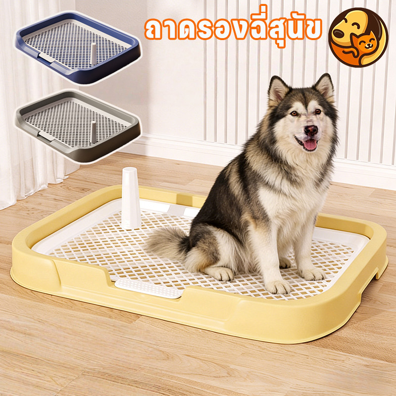 ห้องน้ำสุนัข ถาดรองฉี่สุนัข ขนาด มีตะแกรงรองถาด+แผ่นรองฉี่ พร้อมเสาถอดออกได้ ใช้งานง่าย ทำความสะอาดง่าย