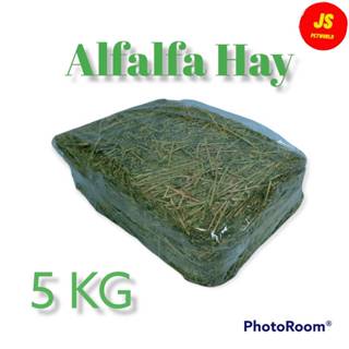 อัลฟาฟ่า5กิโล อัลฟาฟ่าสำหรับลูกกระต่าย สัตว์ฟันแทะ และอื่นๆ …