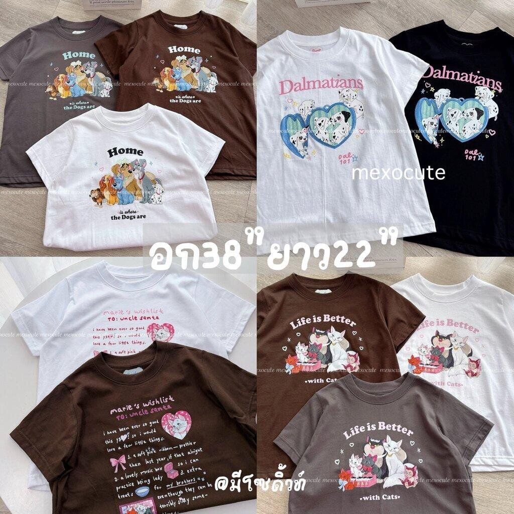 mexocute♡ (อก38/อก34) เสื้อครอป Baby Tee ผ้าคอตตอน หนานุ่ม เดอะพัมกิ้น #2