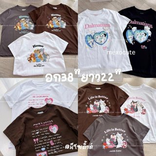 mexocute♡ (อก38 / อก34) BABY TEE เสื้อครอป ทรงเบบี้ที ผ้าคอต…
