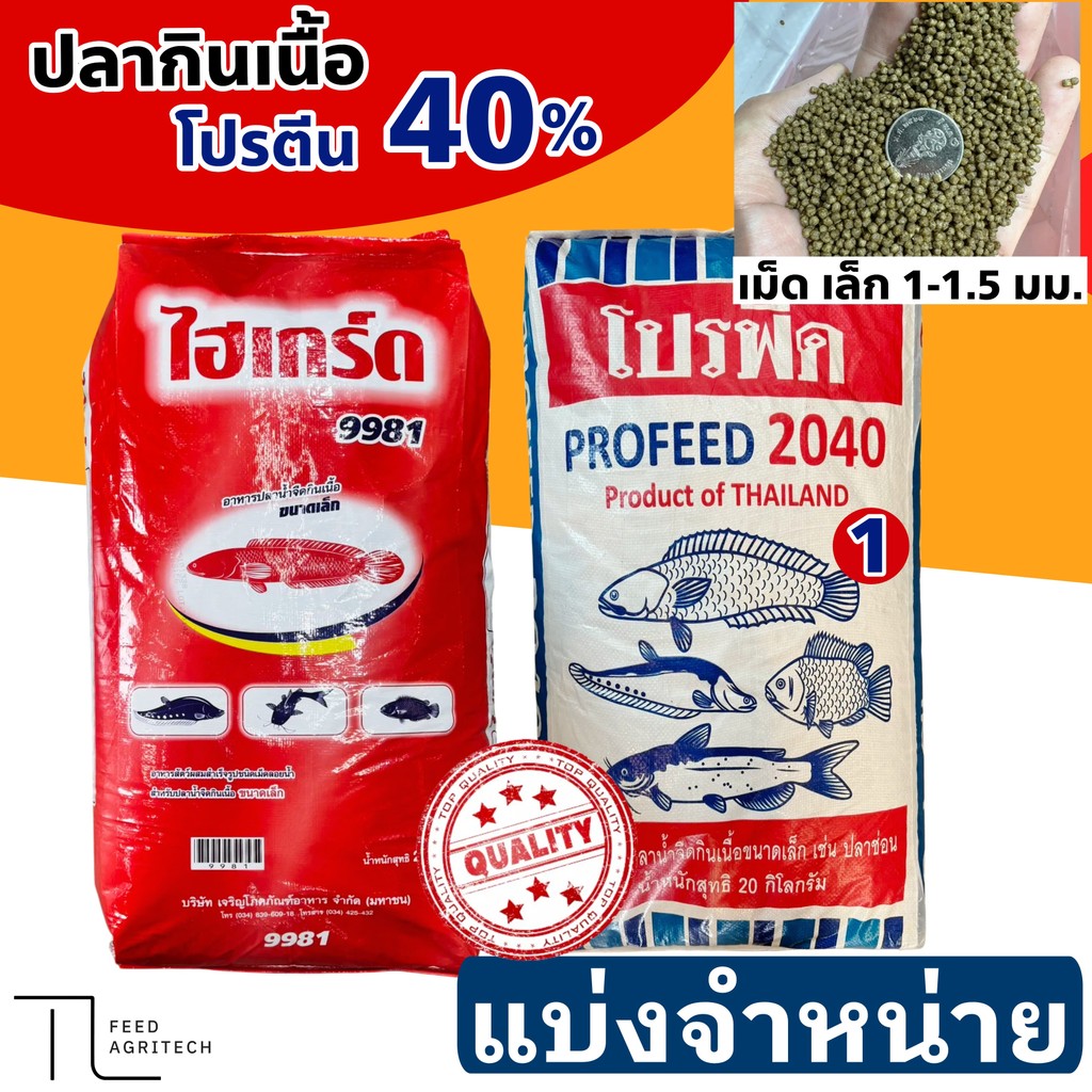 อาหารปลากินเนื้อ โปรฟีด2040 เบอร์1 ไฮเกรด 9981 โปรตีน40 % ใช้ได้กับปลาทุกชนิด # เม็ดเล็ก แบ่ง 1 kg.