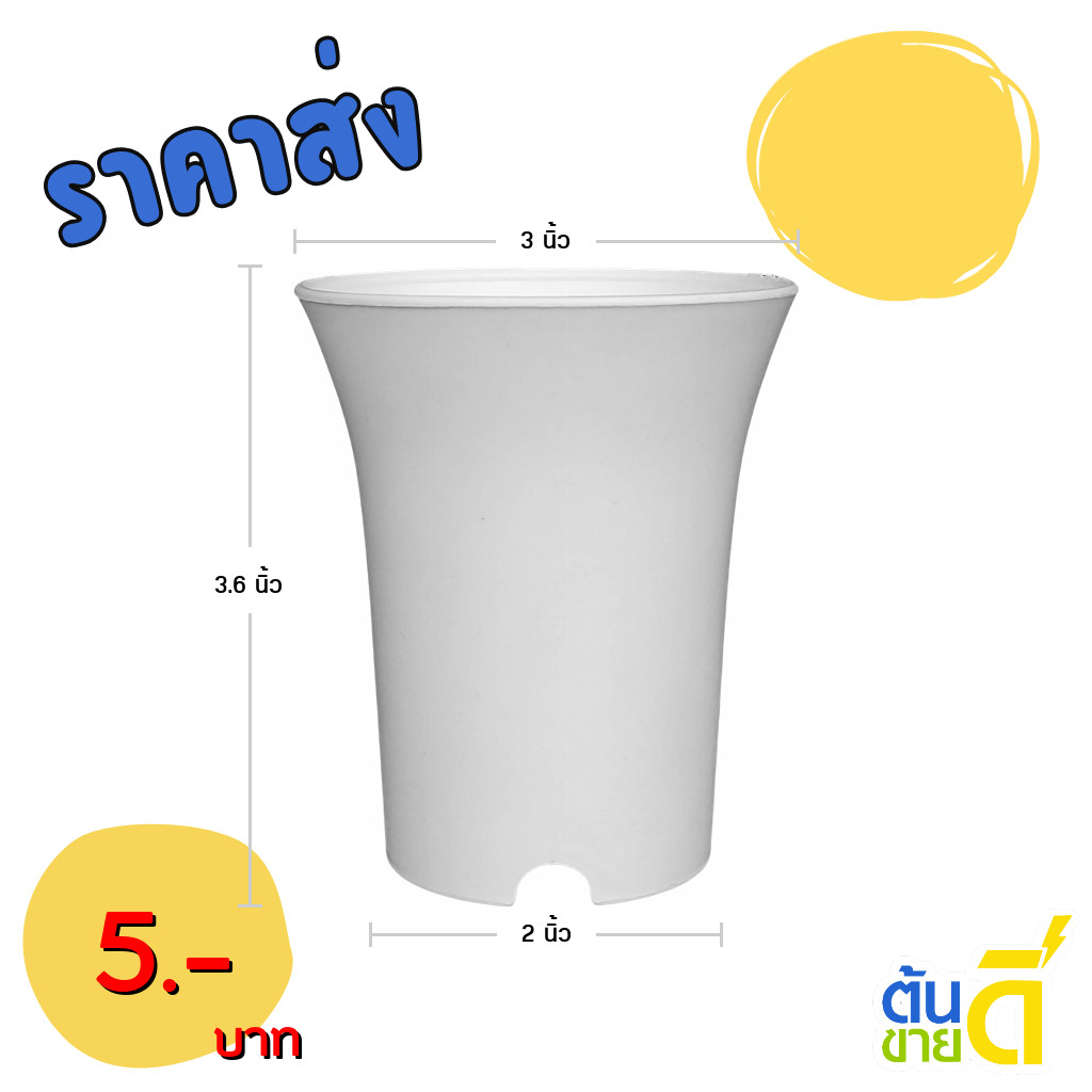 กระถาง กระถางแคคตัส กระถางปากแตร 4.5 นิ้ว สีขาว ขั้นต่ำ 10 ใบ ชิ้น อัน ราคา ถูกที่สุด ดีลบีเคเค