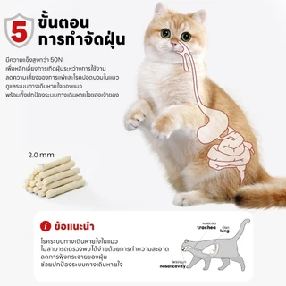 Mango รับฟรีพลั่ว ทรายเต้าหู้ ออร์แกนิค100% ผลิตจากกากถั่วเหลืองธรรมชาติ ทรายแมว Cat Litter ทรายแมวเต้าหู้ (12 ลิตร)