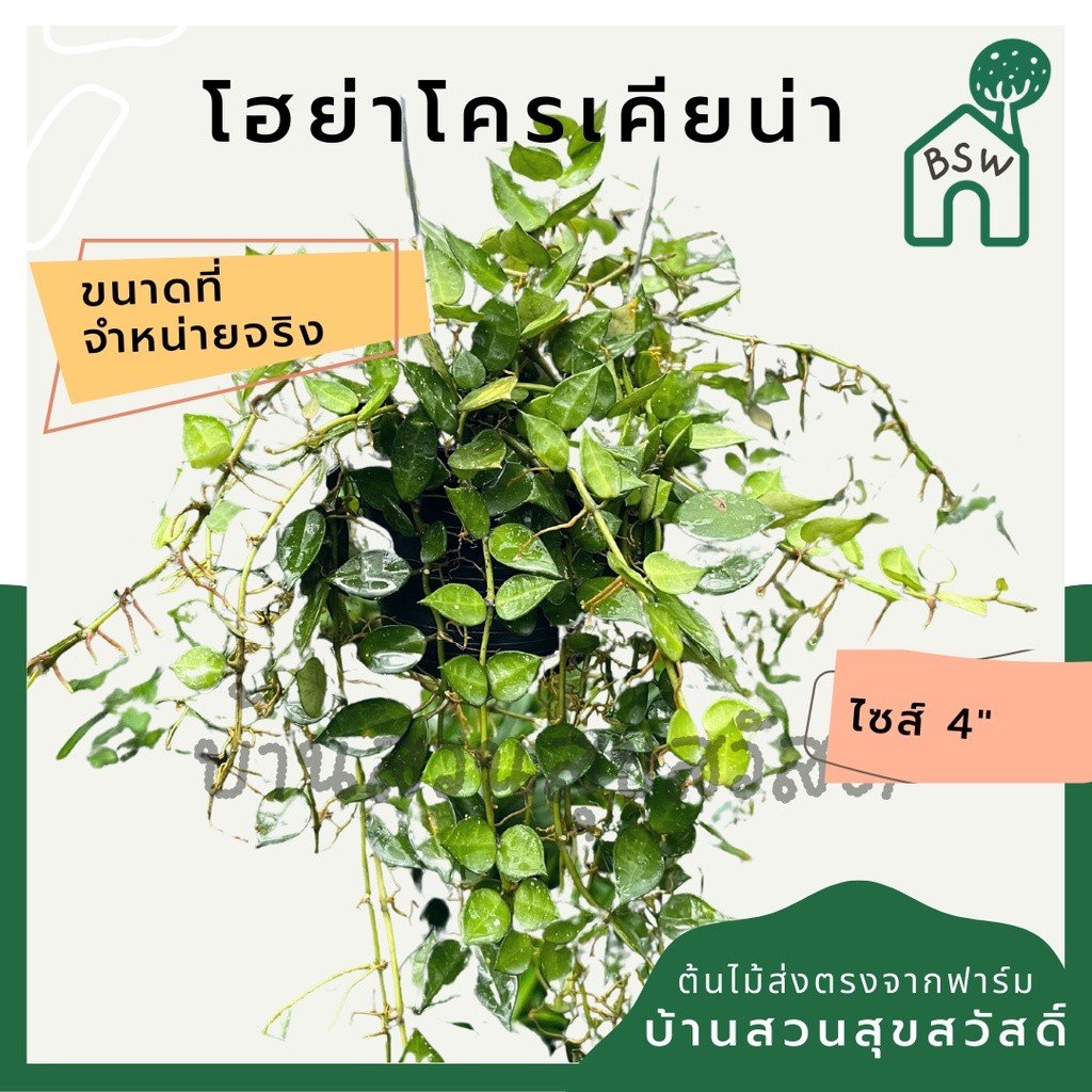 มุมมอง 2