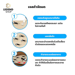COD เจลกำจัดมด แอนติแอนท์ เหยื่อกำจัดมดชนิดเจล ล่อมดกลับรัง หยดเดียวตายยกรัง เห็นผลไว