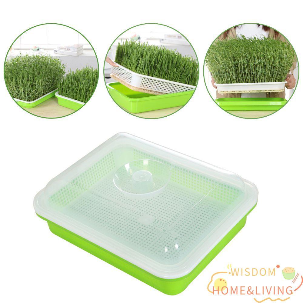 WISDOM Grow Nursery Pots อุปกรณ์ทําสวนการเพาะปลูกแบบไร้ดินกล่องพืชในร่มกลางแจ้ง