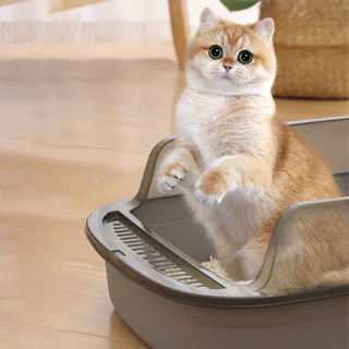 🐱พร้อมส่ง🐱 Happy Purr (ขนาดเล็ก) กระบะทรายแมว ห้องน้ำแมว ขอบสูงกันทรายกระเด็น พร้อมที่ตัก ขนาด 28x40x16 cm.