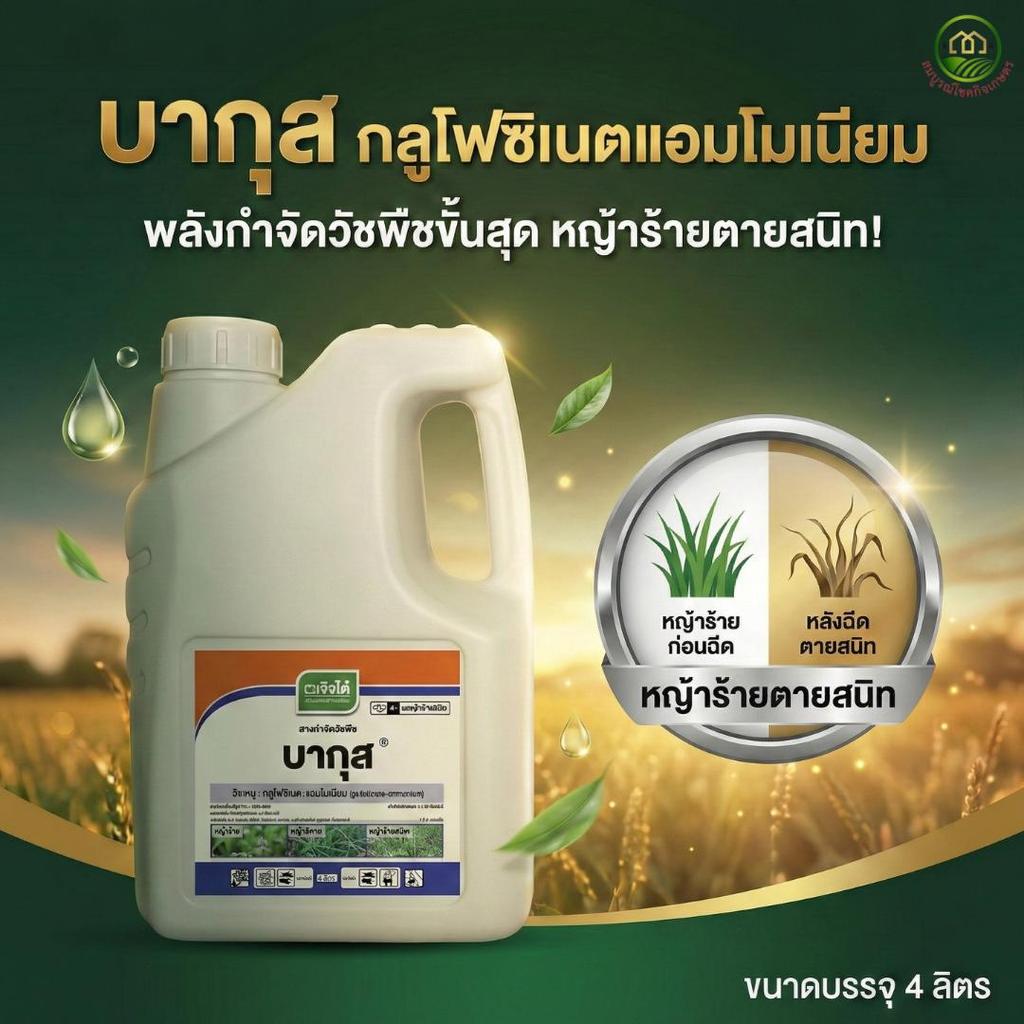(ยกลัง 4 แกลลอน) บากุส เจียไต๋ : กลูโฟซิเนตแอมโมเนียม15% (บาสต้าเอ็กซ์) กำจัดหญ้าใบแคบ หญ้าใบกว้าง ปลอดภัยต่อพืชสูง