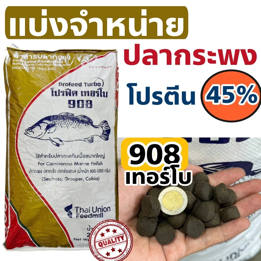 ของใหม่ พร้อมส่ง ProFeed อาหารปลากระพง ปลากินเนื้อ โปรฟีด โปรตีน 45% อาหารปลาทะเล 908เทอร์โบ ตักแบ่ง