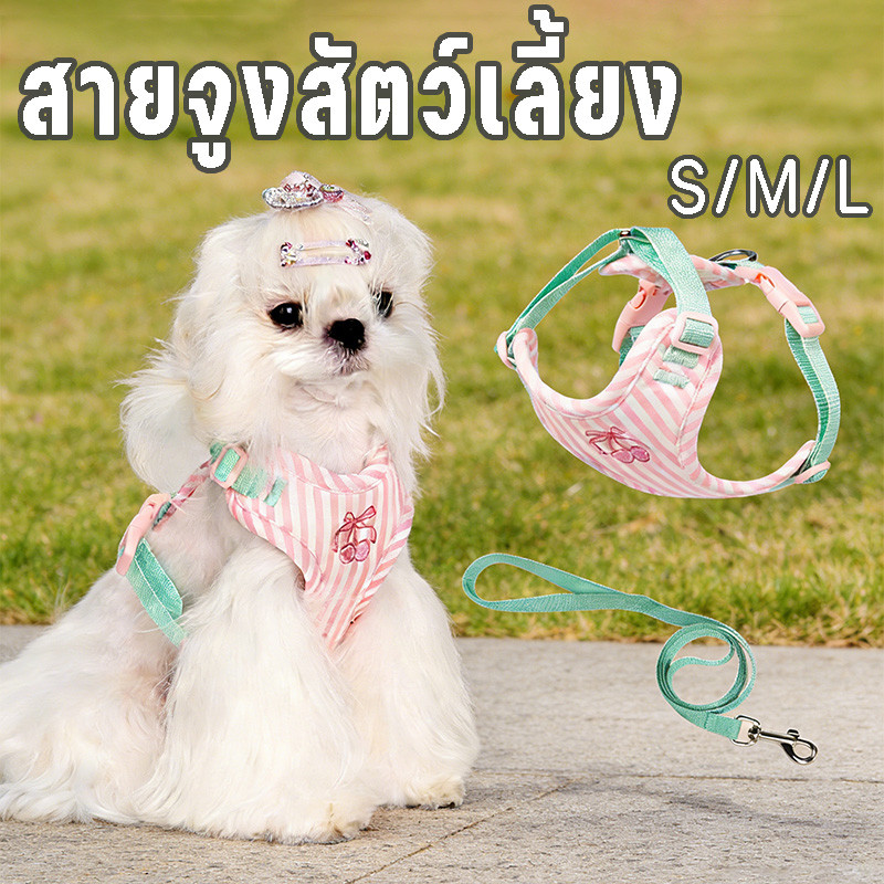 🐶สายจูงสัตว์เลี้ยง สายจูงสุนัข เสื้อกั๊ก สายรัดอก ดเล็กขนาดกลาง-ขนาดสุนัขเสื้อกั๊กสุนัขเดินเชือก