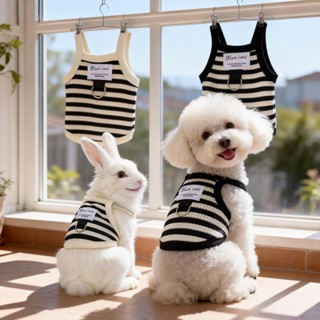 ชุดสัตว์เลี้ยงมีสไตล์พร้อมรูสายจูงสําหรับสุนัขแมวกระต่ายที่ม…