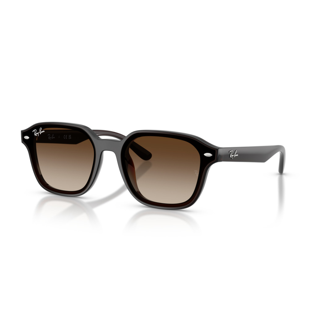 RayBan RB4458D 714/13