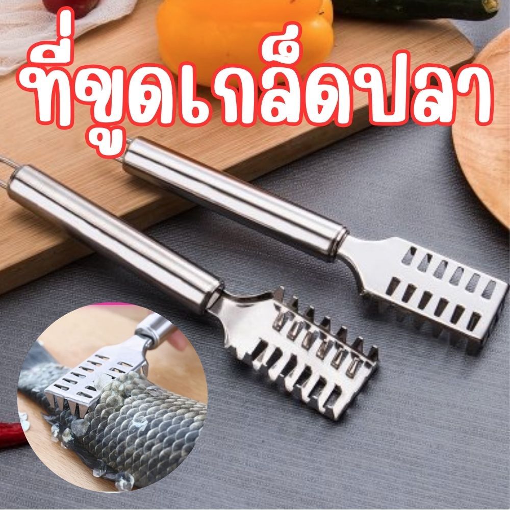ที่ขอดเกล็ดปลา ที่ขูดเกล็ดปลา สแตนเลส ไม่เกิดสนิม อุปกรณ์กำจัดเกร็ดปลา พร้อมช่องเก็บเกล็ดปลาในตัว มีด้ามจับถนัดมือ G0185