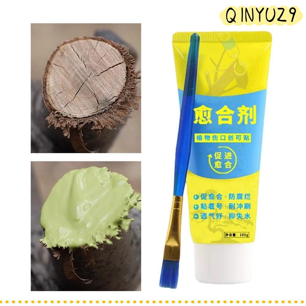 QINYUZ9QX Grafting Tree Sealer, Smear Agent 100g Tree Wound Sealant, Tree Repair พร้อมแปรงตัดแต่งกิ่