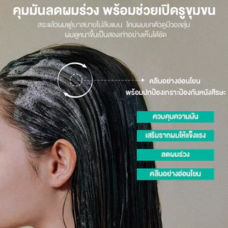 [ปริมาณ 900 มล ขนาดขายดี！] Cokki anti-hair loss shampoo ยาสระผม ลดผมขาดหลุดร่วง