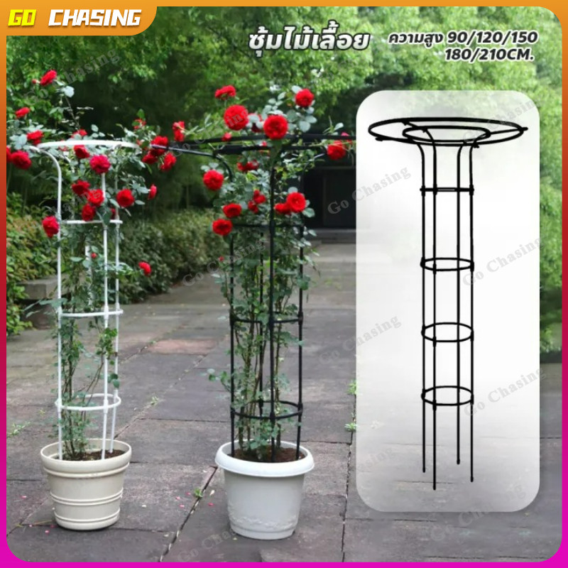 ซุ้มไม้เลื้อย ทรงร่ม สูง เถาวัลย์ ดอกไม้ยึด ซุ้มไม้ระแนง โครงเหล็ก  สำหรับตกแต่งสวน ซุ้มไม้ระแนง ซุ้มกุหลาบเลื้อย