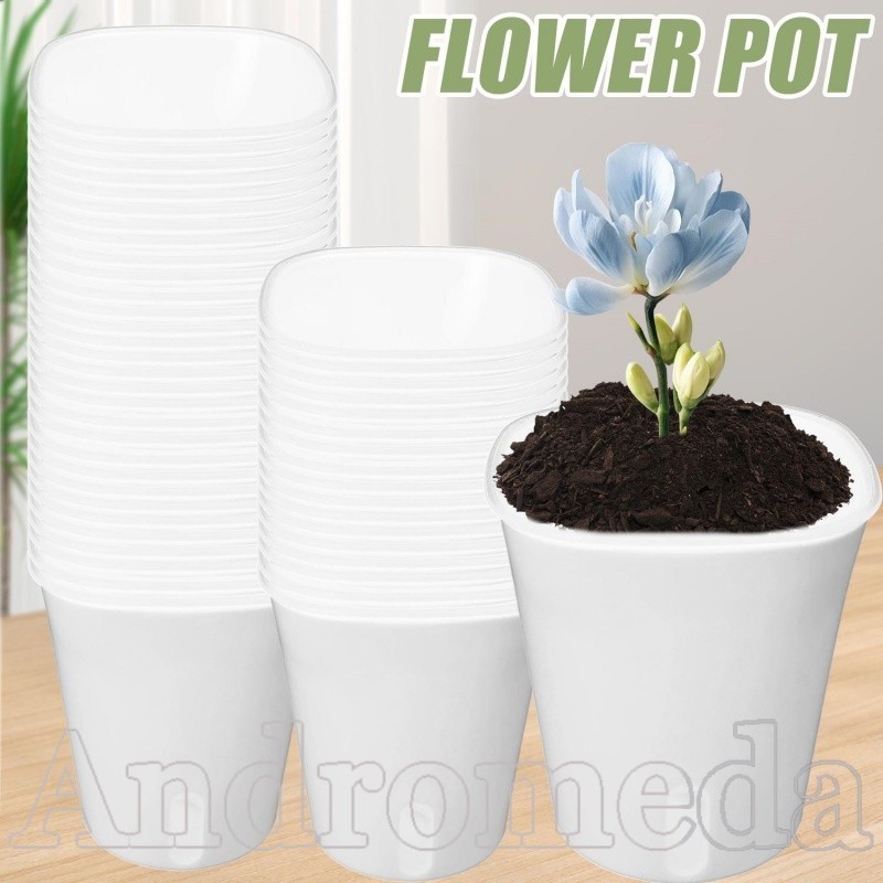 [Urban Living] Simple Double Layer PP Plastic Automatic Water Absorption Flowerpot - Home Office Suc