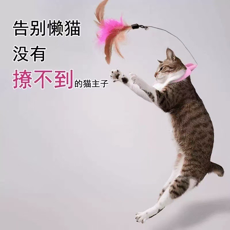 DMB0331แมวตลกติดแมวของเล่นเชือกแขวนคอคอแมวตลก สติกส์ 猫棒猫玩具挂猫棒自然猫棒用型猫棒项棒ทางประสาทสัมผัส加厚动猫玩具