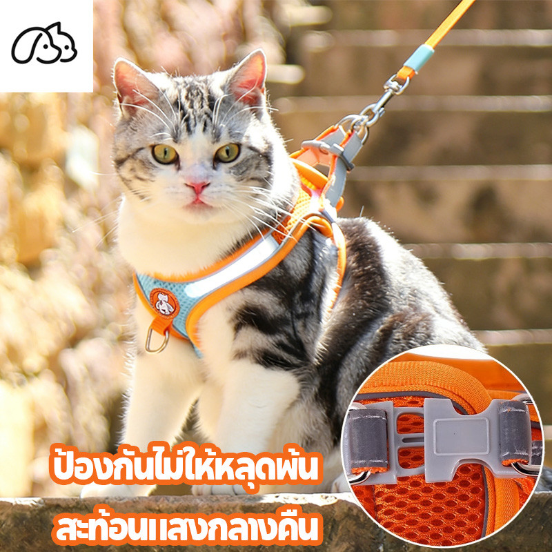 สายจูงแมว สายจูงสุนัข ปลอกคอสุนัข ชุดหมา ระบายอากาศได้ดีและสะดวกสบาย สายจูง สะท้อนแสงกลางคืน