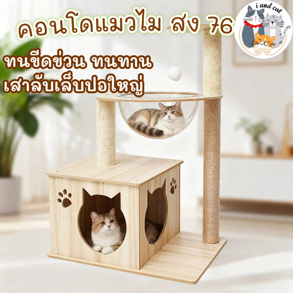 I&CAT คอนโดแมวไม้ หลุมอวกาศใส 3ชั้น เสาเชือกปอ ที่ลับเล็บ กล่องนอนแมว ลูกบอลของเล่น โครงปีนแมว