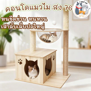 I&CAT คอนโดแมวไม้ หลุมอวกาศใส 3ชั้น เสาเชือกปอ ที่ลับเล็บ กล่องนอนแมว ลูกบอลของเล่น โครงปีนแมว