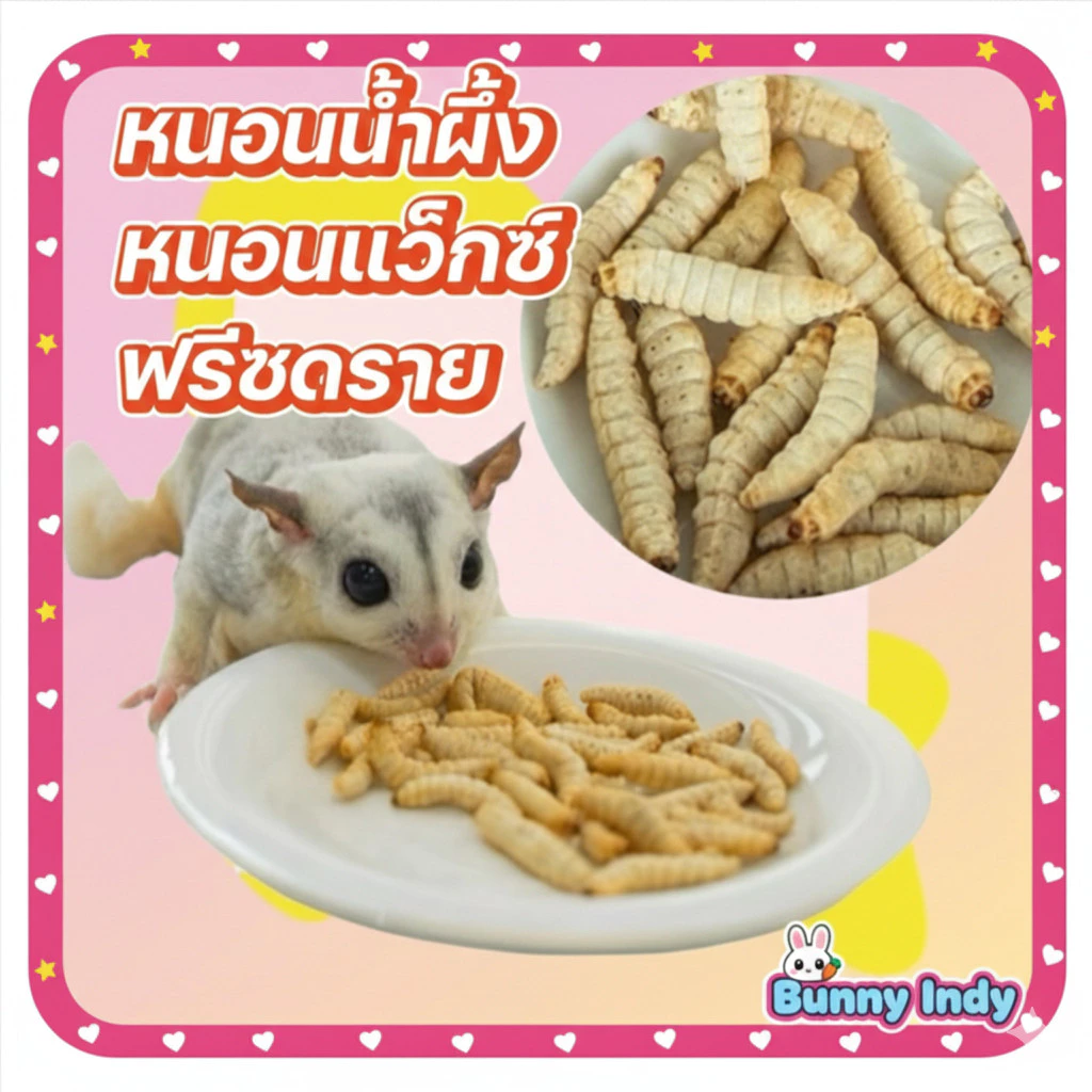 Bunny.indy หนอนน้ำผึ้ง หรือ หนอนแว็กซ์ ฟรีซดราย ชูการ์ เม่น แฮมเตอร์ โปรตีนสูง คัดหนอนสวยพิเศษ ขนาด 10 กรัม ฟรีซ-40องศา