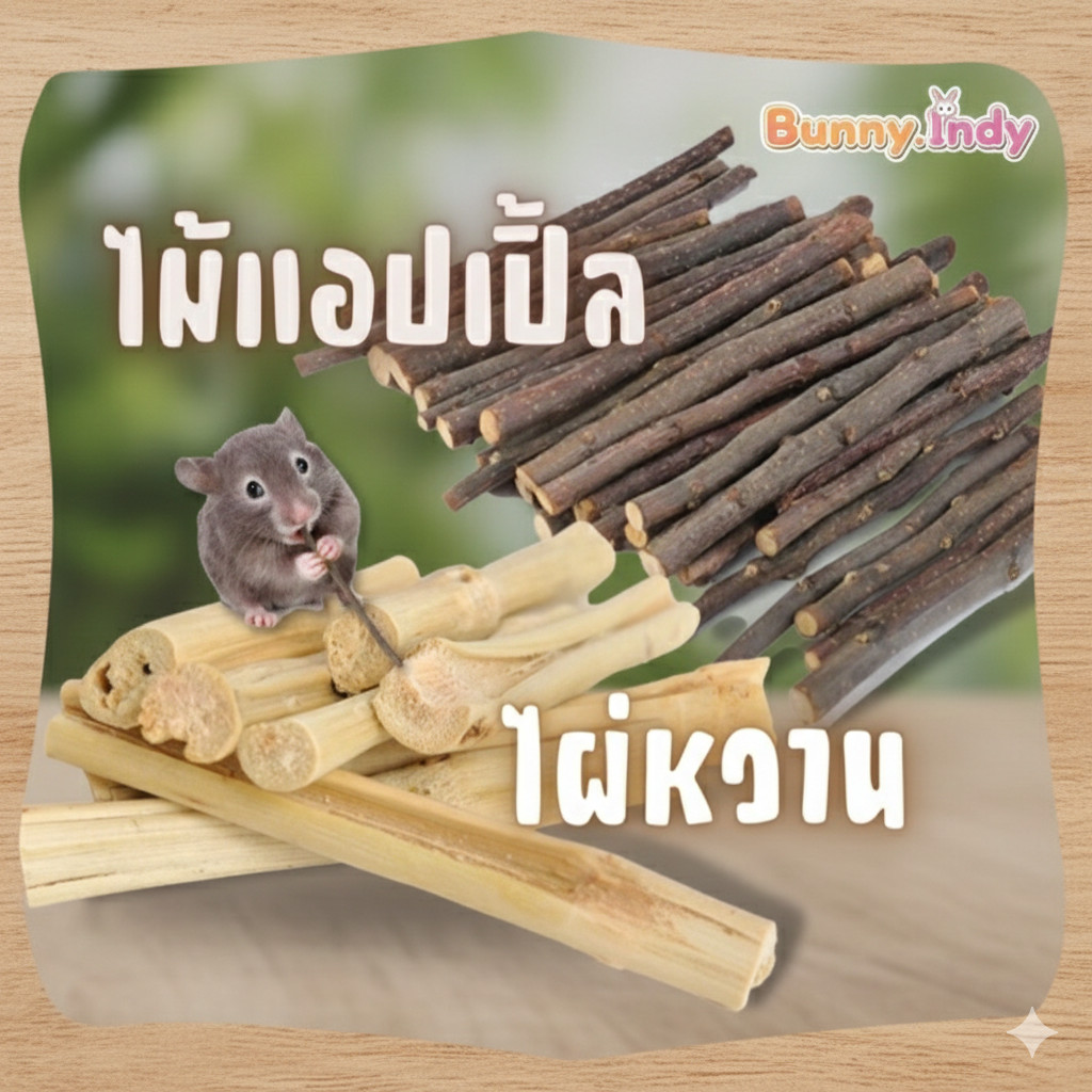 Bunny.indy ไผ่หวาน Sweet bamboo ไม้แอปเปิ้ล apple stick ลับฟัน ขัดฟันแฮมสเตอร์ ขัดฟันกระต่าย ขัดฟันแพรี่ด๊อก ขัดฟันหนู