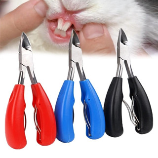 กรรไกรตัดฟันหมู คีมฟันหมู ตัดฟันกระต่าย กรรไกรตัดเขี้ยว ใช้ไ…