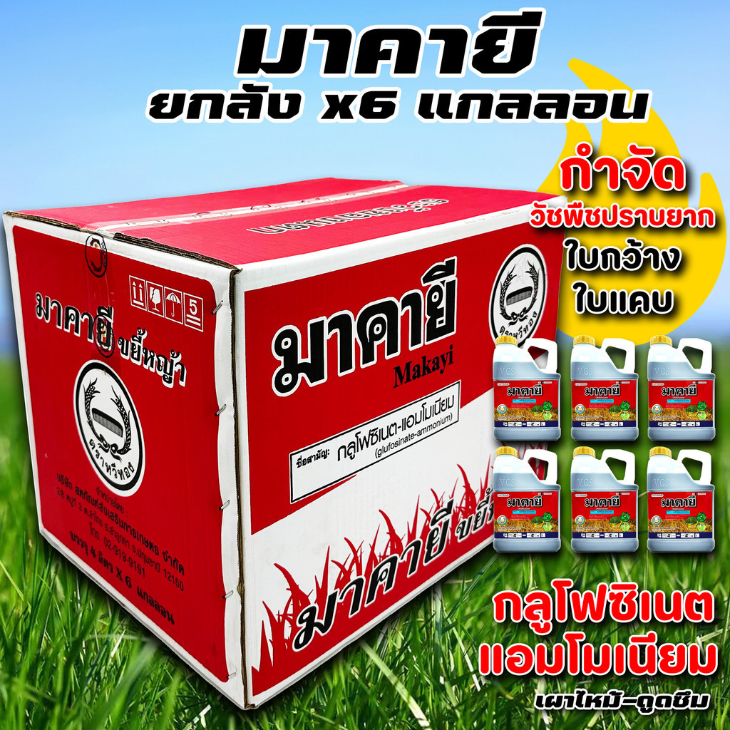 มาคายี กลูโฟซิเนต แอมโมเนียม ยกลัง: ยาฆ่าหญ้าประสิทธิภาพสูง ปลอดภัยต่อพืช