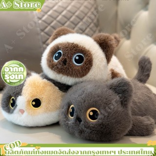 ส่งจากไทย💥ตุ๊กตาแมวดําน่ารัก แมวสยาม พวงกุญแจ ผ้านิ่ม 17/30/…