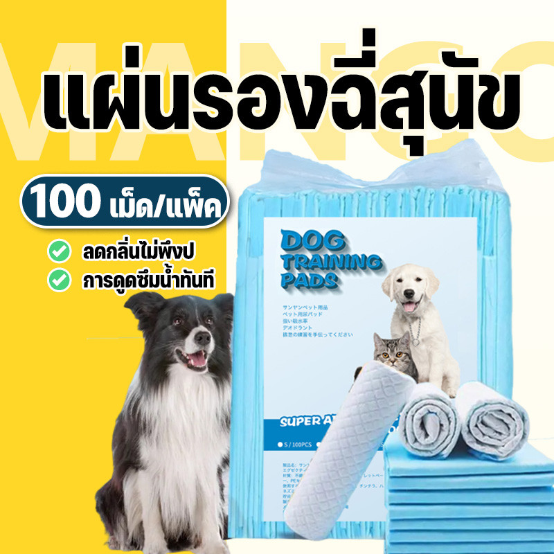 Mango แผ่นรองฉี่สุนัข แผ่นรองฉี่น้องหมา น้องแมว ช่วยฝึกขับถ่ายสุนัขและสัตว์เลี้ยง บ๊อกด็อก และ จิจิโกะ ดูดซับกลิ่น