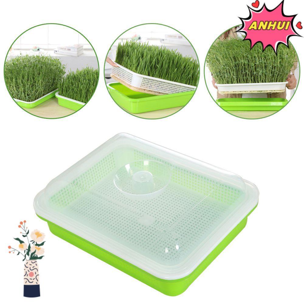 ANHUI Grow Nursery Pots Outdoor Indoor Hydroponic Tray Soilless Culture Sprout Pot