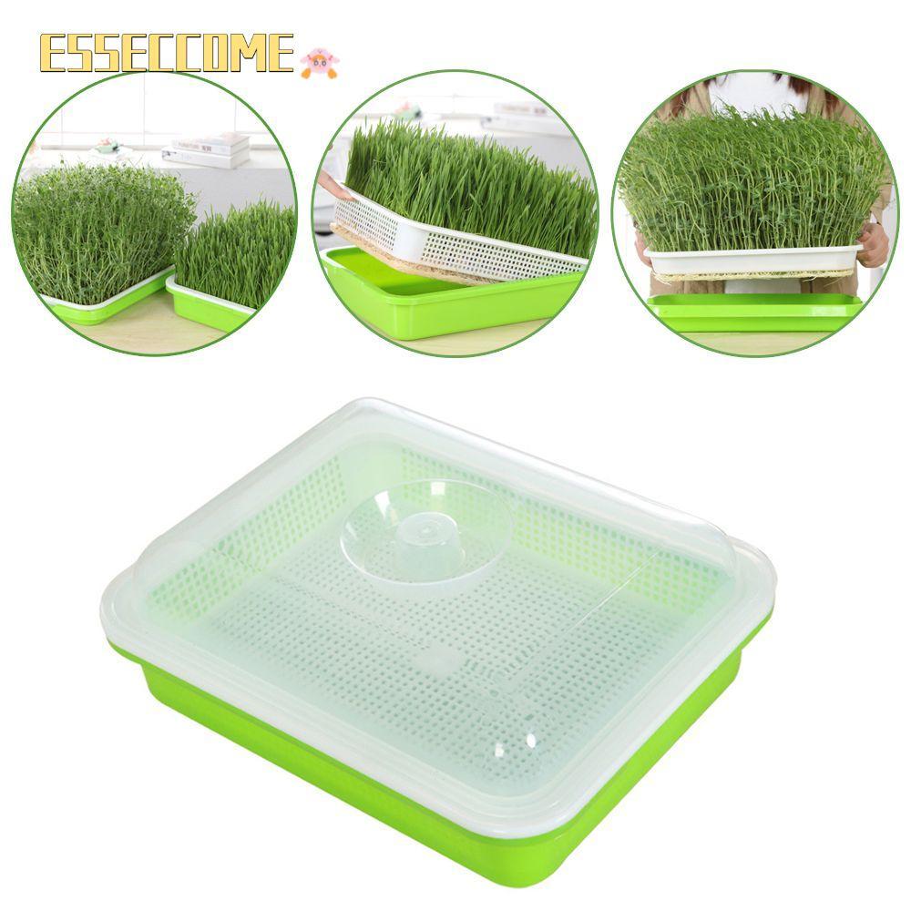 ESSECCOME Grow Nursery Pots Gardening Supplies ถาด Hydroponic Nursery Paper Plant Box
