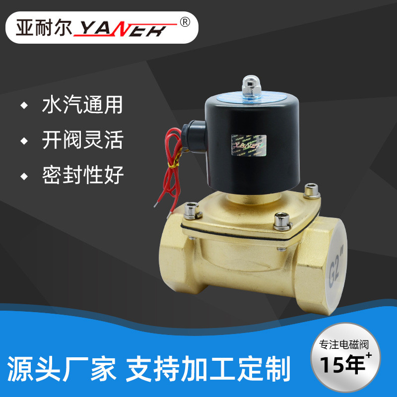 2W500-50 ปกติปิดทองแดงทั้งหมด Solenoid วาล์วน้ํา AC220V Air Valve DC24V DC12V4.6