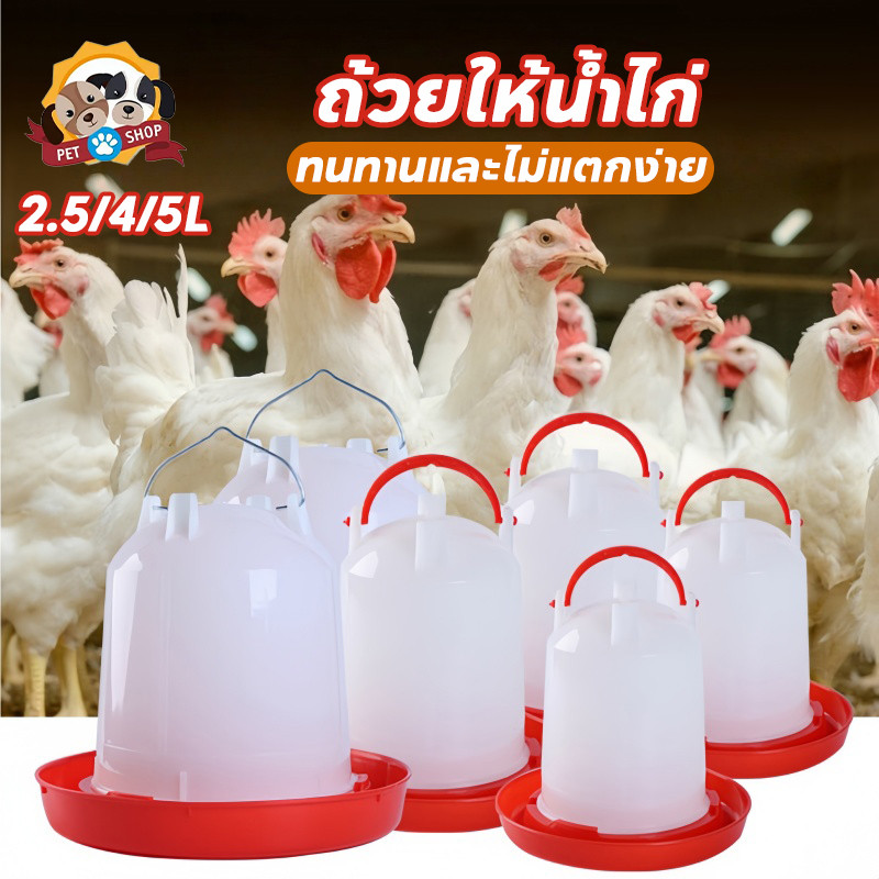 ขวดน้ำไก่ ถ้วยให้น้ำไก่ 2.5/4/5L ที่ให้อาหารไก่ ล้างง่าย รุ่นประหยัด