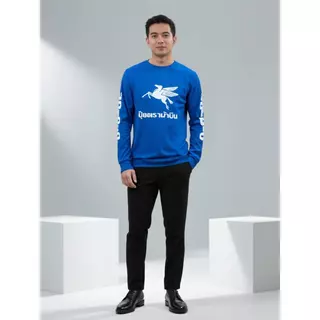 TMS เสื้อผ้ายืด คอกลม แขนยาว พิมพ์ลาย ผ้ากีฬา ใส่ได้ทั้งผู้ชาย ผู้หญิง ปุ๋ยไทบ้าน ไซส์ใหญ่ S-5XL ไม่ร้อน กระต่าย ม้าบิน