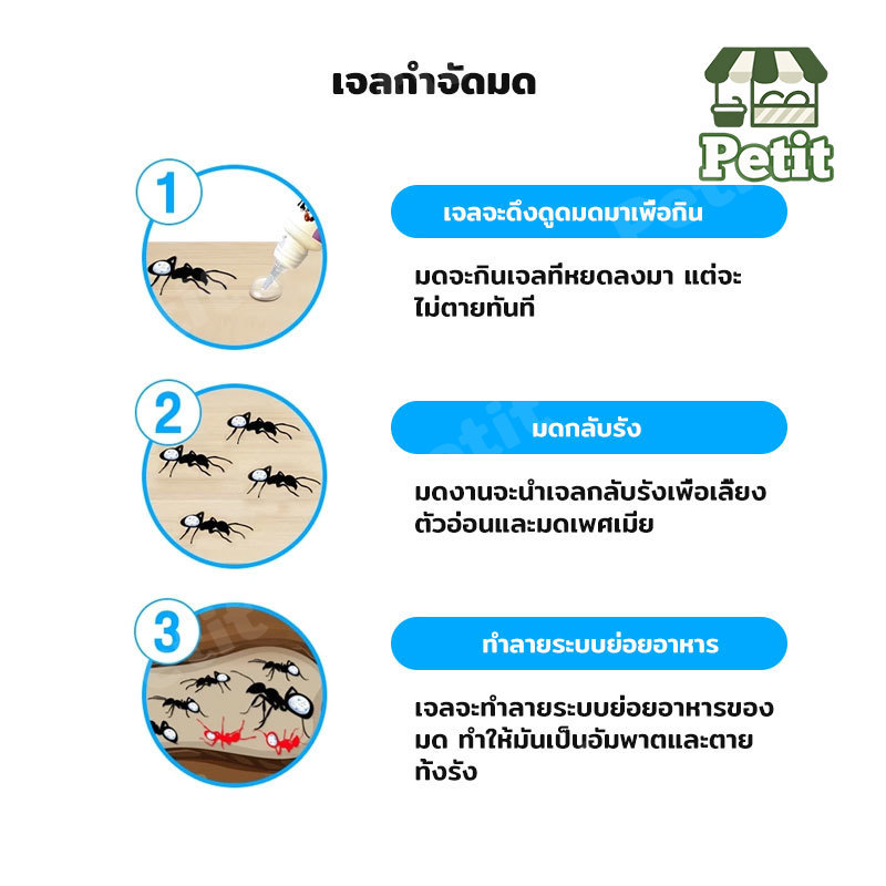 ยาฆ่ามด เจลกำจัดมด เหยื่อกำจัดมด ไล่มด ป้องกันมด เจลไล่มด เจลล่อมด สำหรับใช้ในบ้าน รูปที่ 6