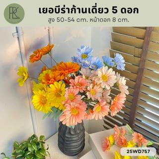 เยอบีร่าก้านเดี่ยว 5 ดอก สูง 50-54 cm. หน้าดอก 8 cm.