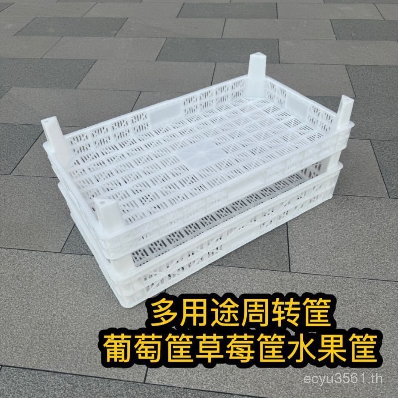 จานตะกร้าขนส่งพลาสติก Man สี่เหลี่ยมผืนผ้า Turnover Berry หนา 7400 ตะกร้าผลไม้ More Collection องุ่น