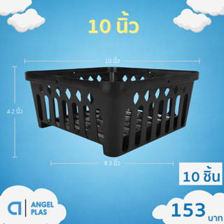 กระถาง กระถางกล้วยไม้ กระถางแขวน สี่เหลี่ยม 10 นิ้ว 10 25 50…