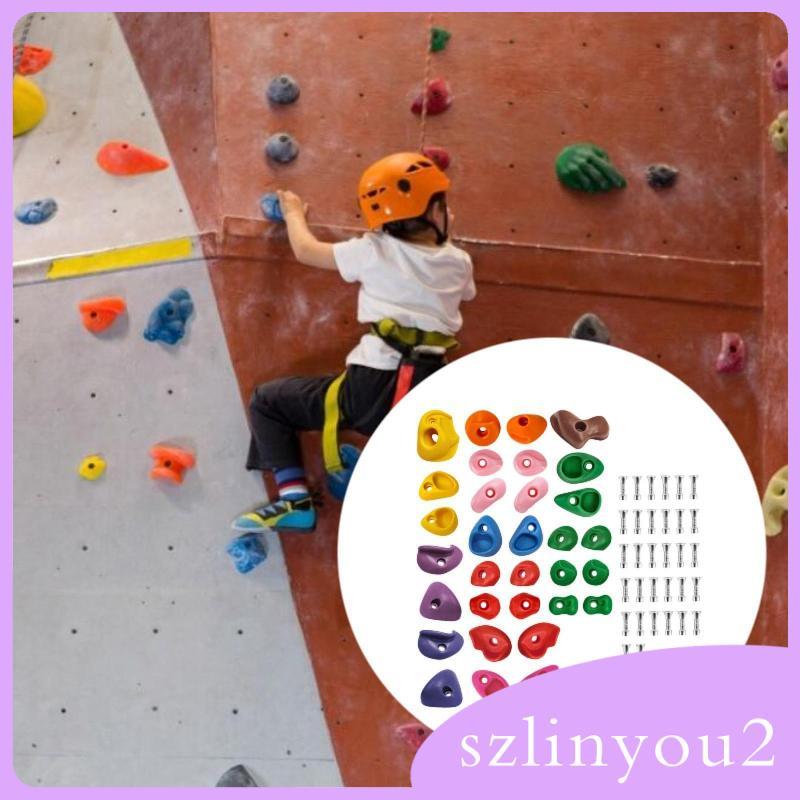 [szlinyou2] 32x Rock Climbing Holds Climbing Rock Wall Grips สีรวมติดตั้ง