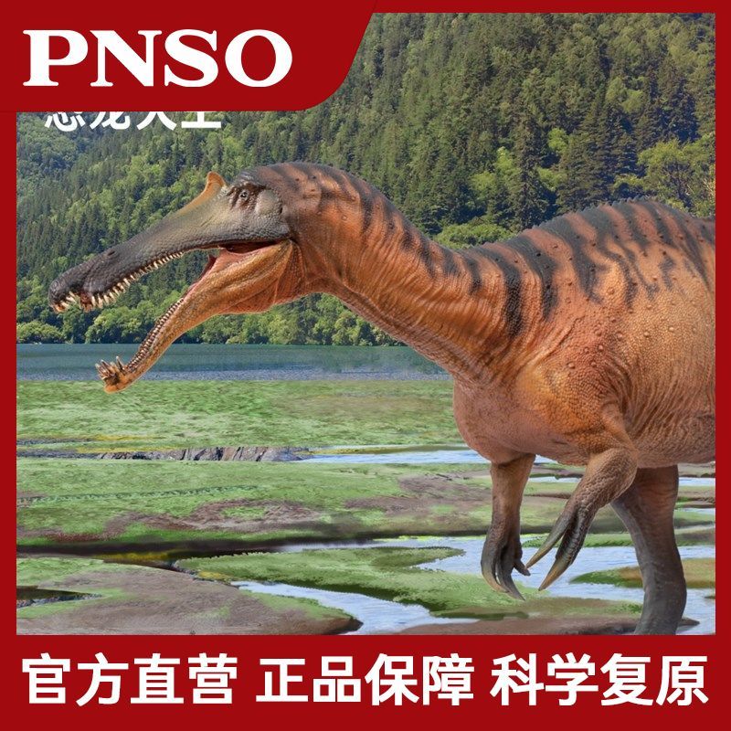 P PNSO จีน Shanglong Chongzo ไดโนเสาร์ King Growth ประกอบรุ่น 66 ไดโนเสาร์สัตว์รุ่นเด็ก